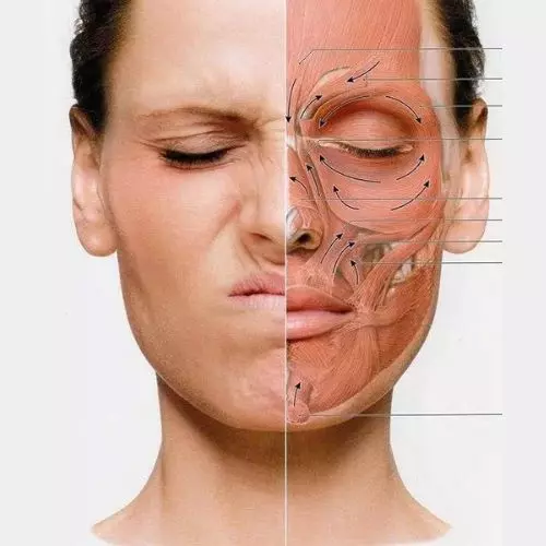 Réflexiologie_facial_1_L'éclat O4 Visages